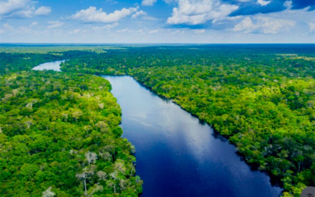 MPF pede na Justiça suspensão de projeto de carbono em Carauari por sobreposição a territórios
