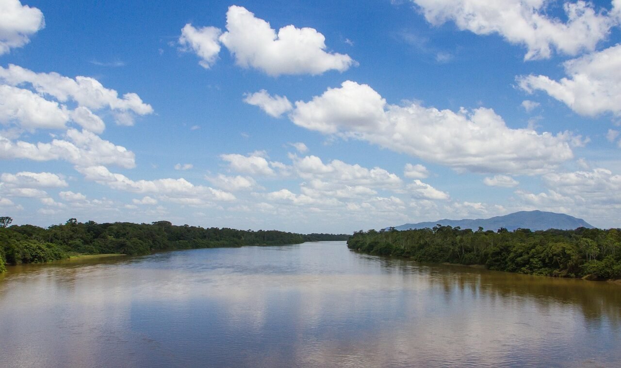 rio branco, roraima, viruá, amazonas, floresta, floresta tropical, selva, natureza, tropical, árvore, exótico, panorama, brasil, agua, botânica, amazônia azul, roraima, roraima, roraima, roraima, amazonas, amazonas, amazonas, amazonas, amazonas, brasil, brasil