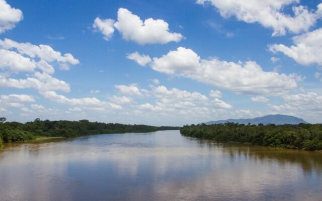 No Dia do Saci, Curupira é lembrado como guardião da floresta amazônica